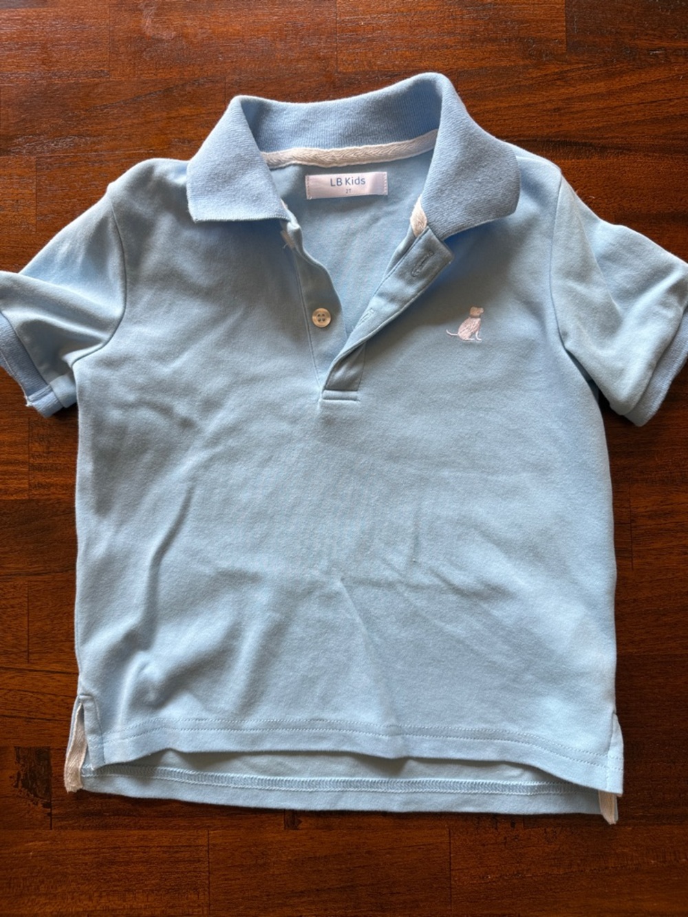 Light Blue Polo Shirt for Boys